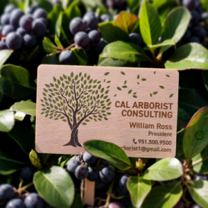 Full Color Printing Beech Wood Business Cards