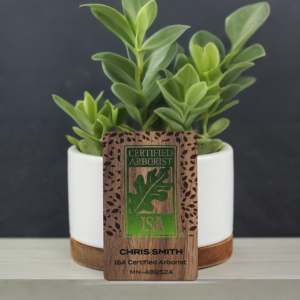 Full Color Printing Black Walnut Wood Business Cards