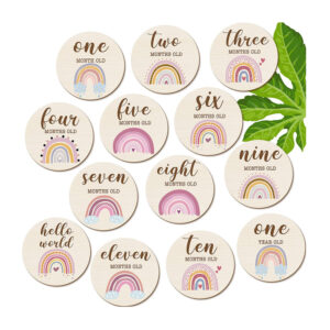 Newborn Month Tracker Wooden Discs