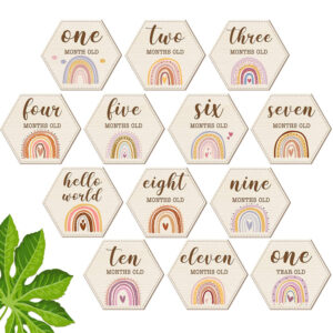 Wooden Baby Monthly Milestone Cards