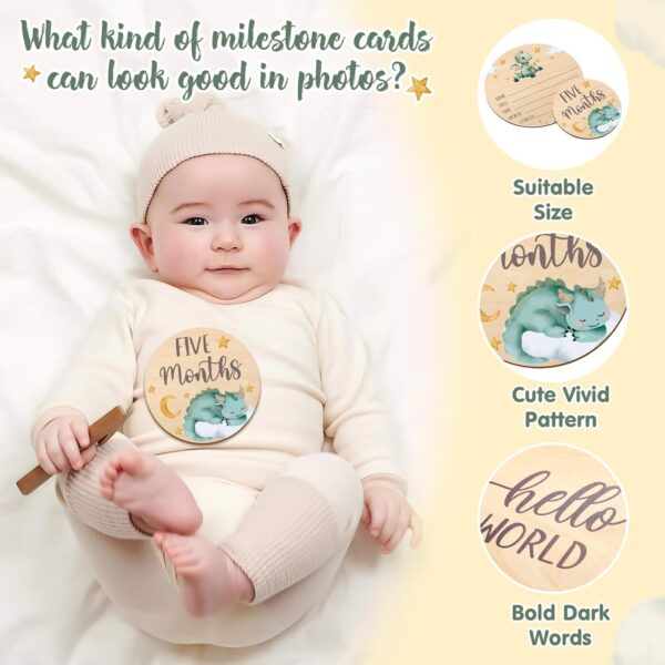 Baby Monthly Milestone Marker Disc Cards - Image 4
