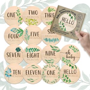 Baby Monthly Milestone Marker Disc Cards